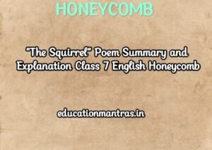 The Squirrel Poem Summary and Explanation Class 7 Honeycomb